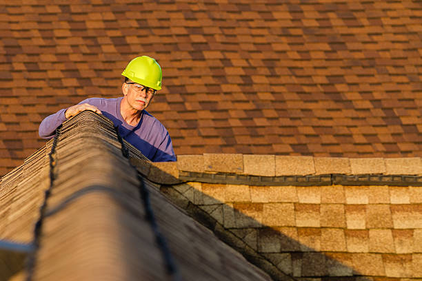 Roof Gutter Cleaning in Wasilla, AK